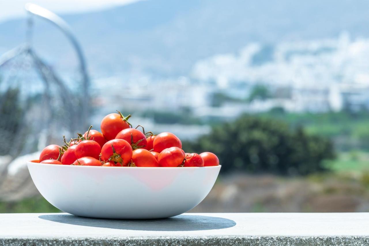 Aelia Suites 아다마스 외부 사진